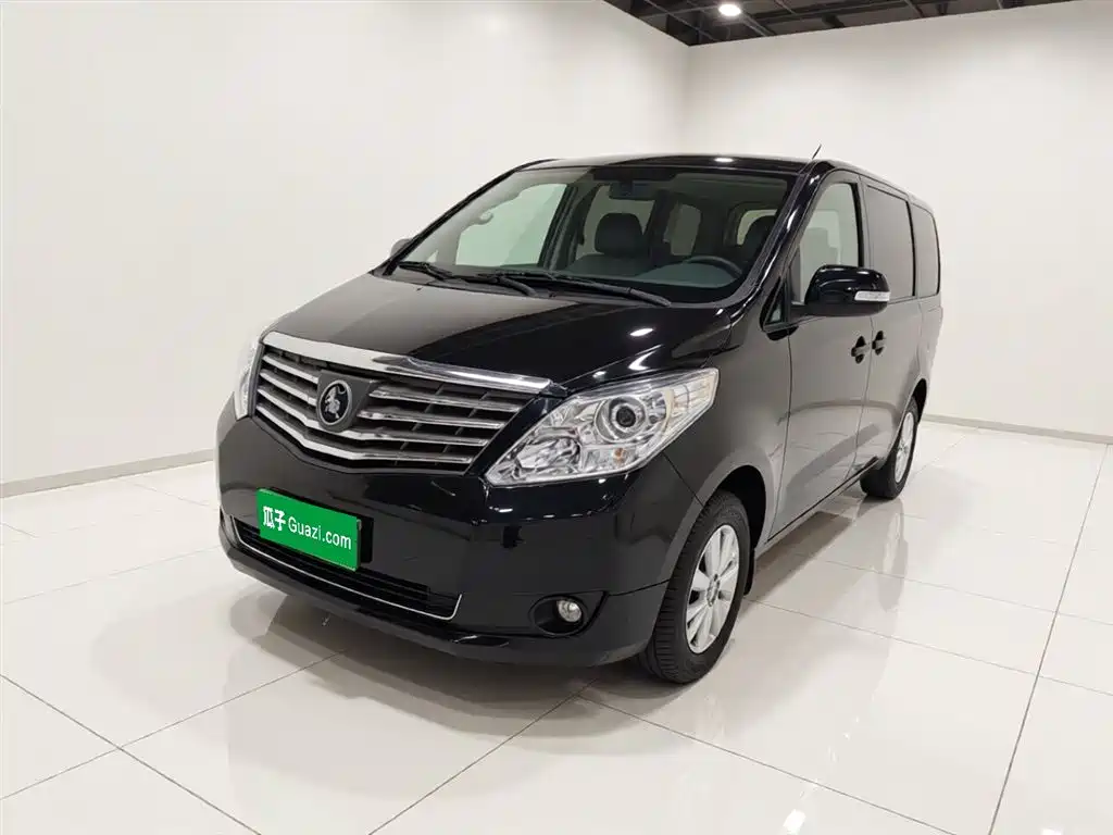 Купить Fengxing Lingzhi PLUS