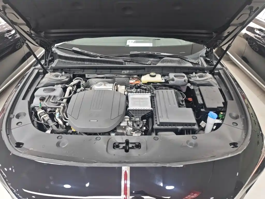 Hongqi Hongqi H5 PHEV — миниатюра 20