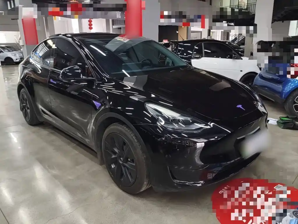 Tesla Model Y — миниатюра 4