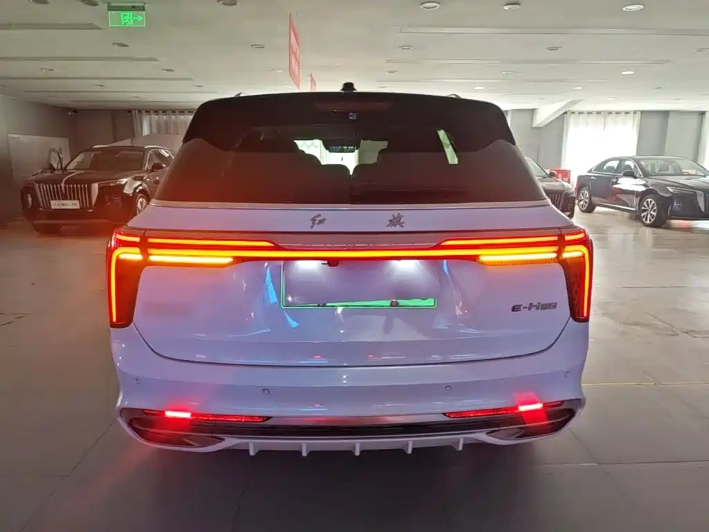 Hongqi Hongqi E-HS9 — миниатюра 6