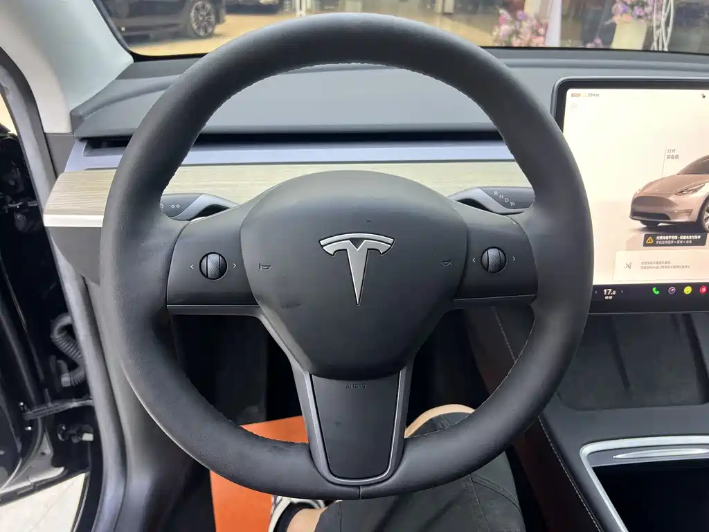 Tesla Model Y — миниатюра 5