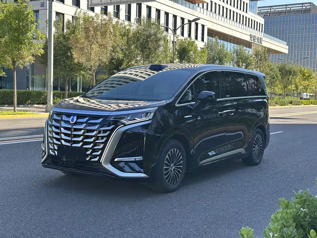 Denza Denza D9