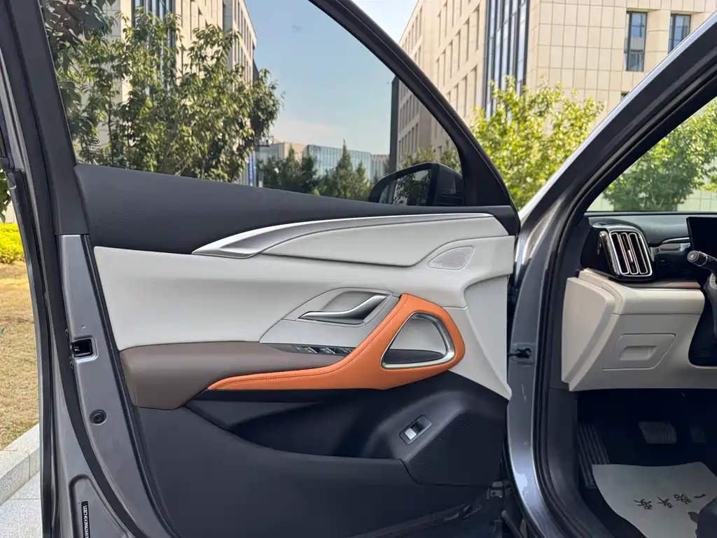 BYD Pro New Energy — миниатюра 11