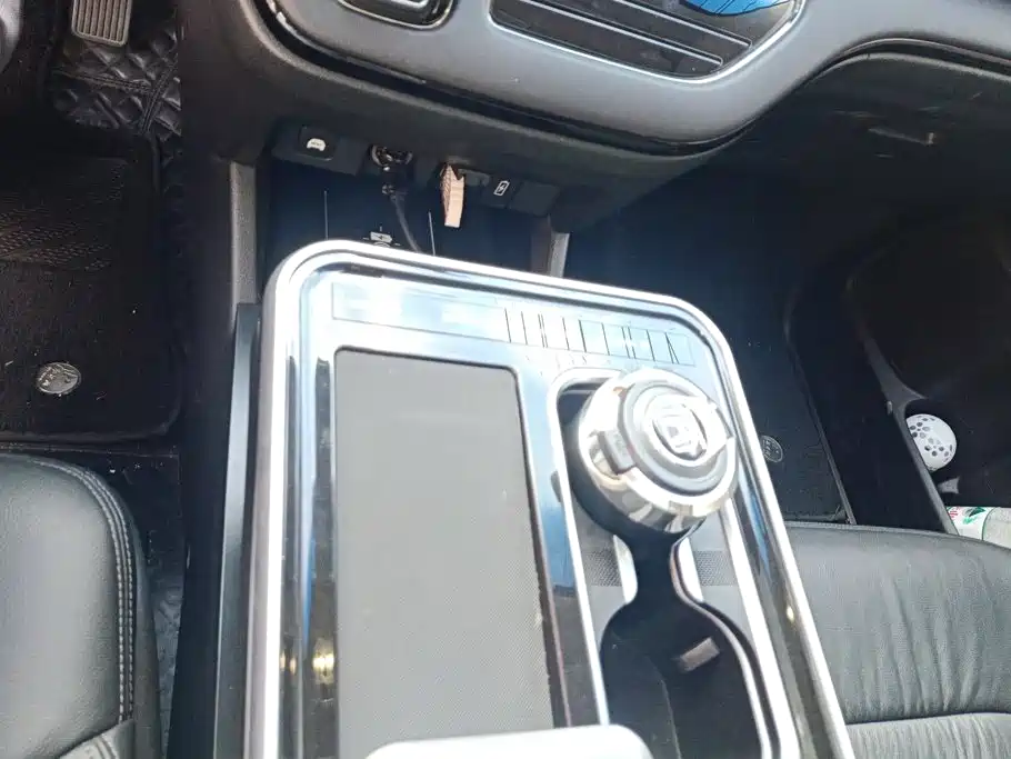 Honda Elysion — миниатюра 16