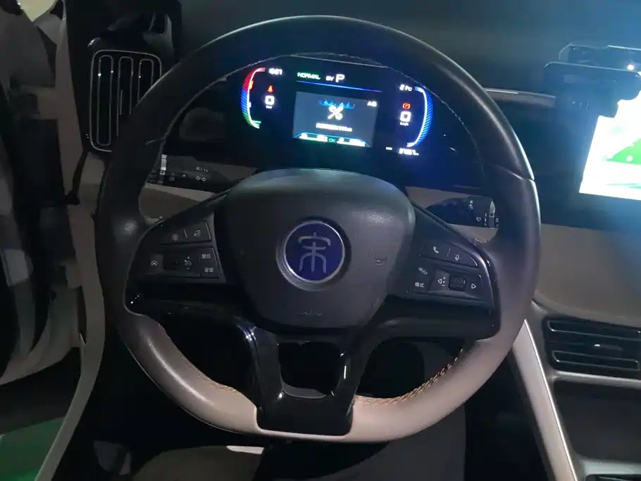 BYD Pro New Energy — миниатюра 15