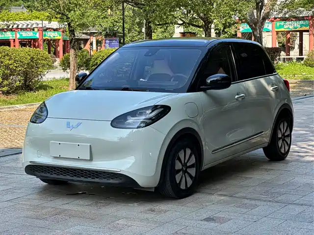 2023 Wuling Motors Binguo