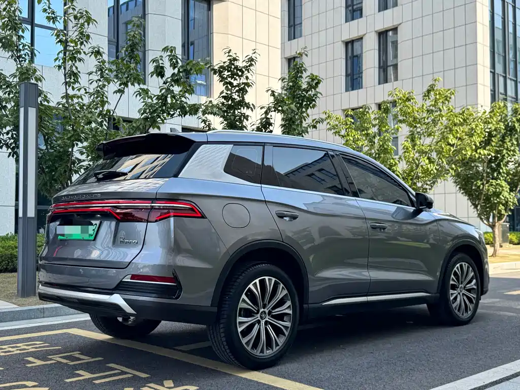 BYD Pro New Energy — миниатюра 5