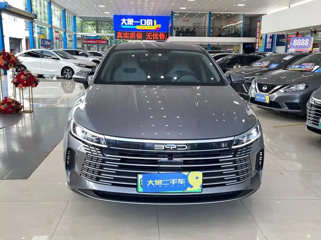 BYD Destroyer 05 — миниатюра 2