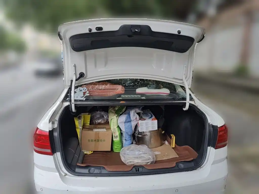 Volkswagen Lavida — миниатюра 20