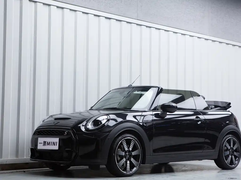 Mini Mini 2024
