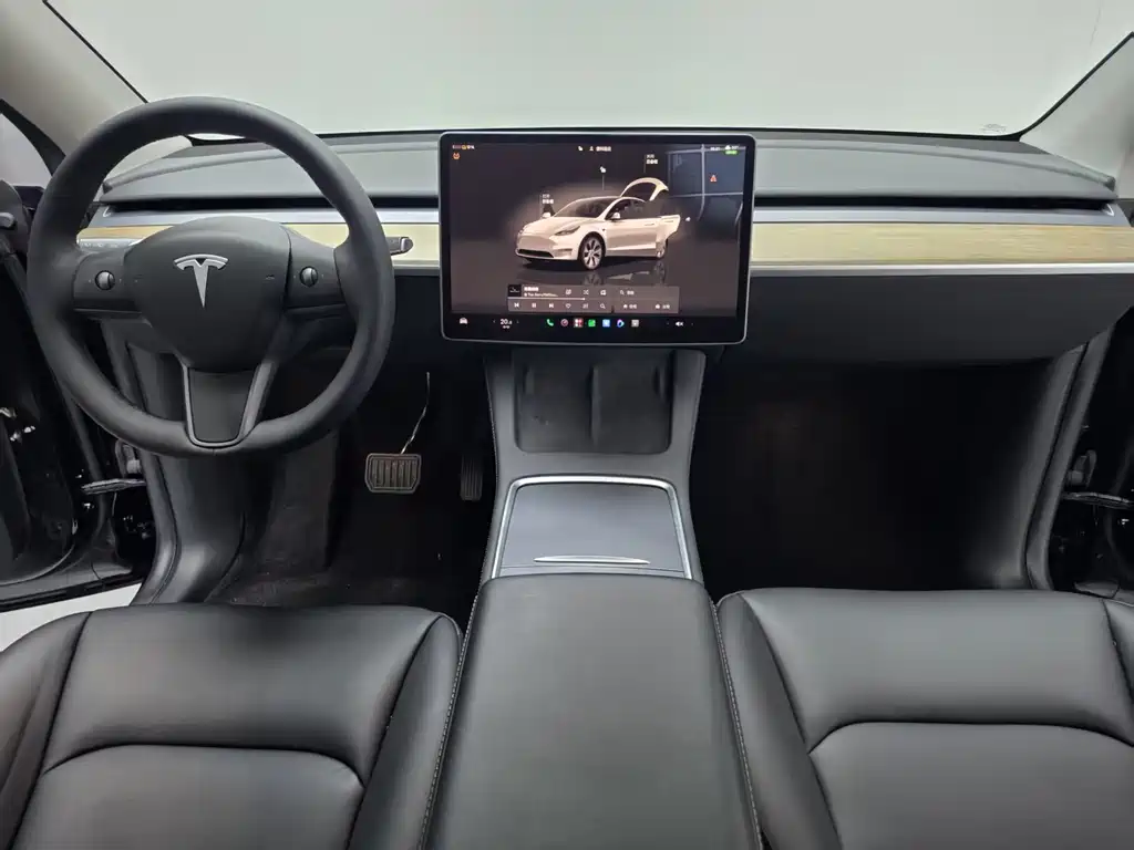 Tesla Model Y — миниатюра 6