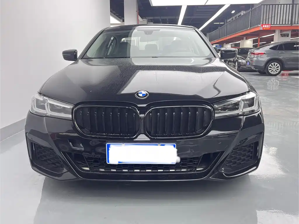 BMW 5 Series — миниатюра 2