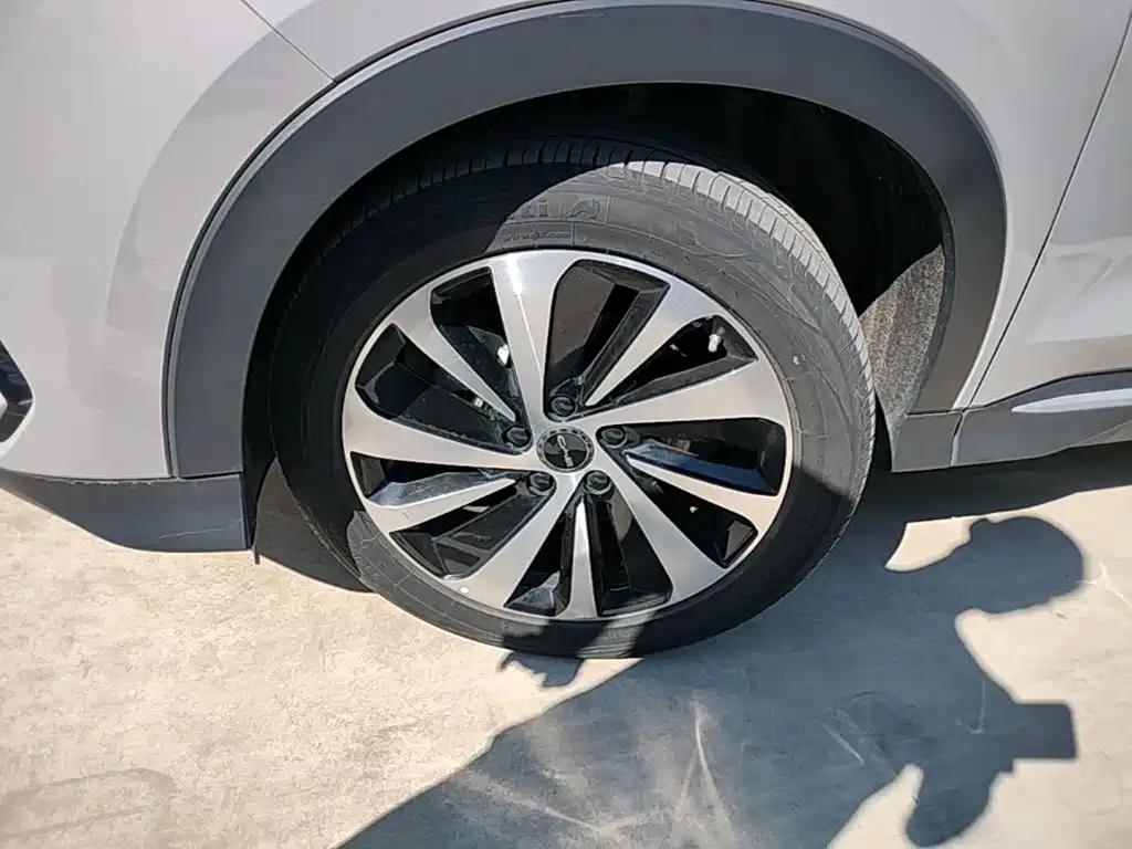 BYD PLUS New Energy — миниатюра 23
