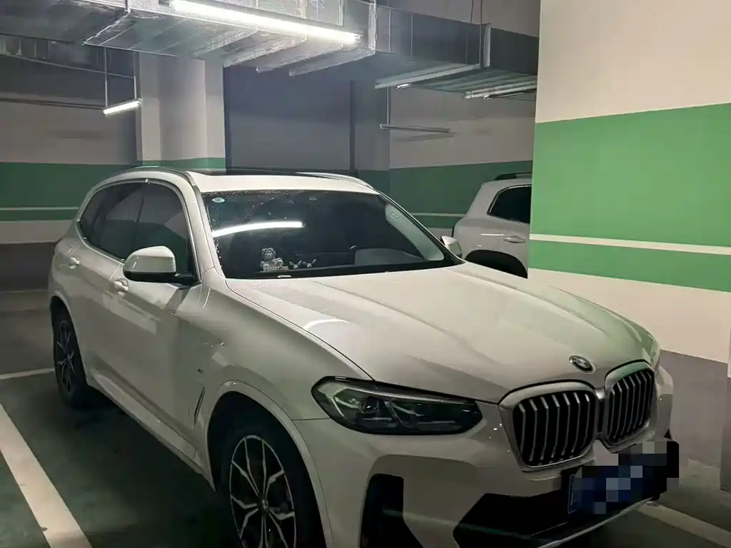 BMW X3 — миниатюра 2