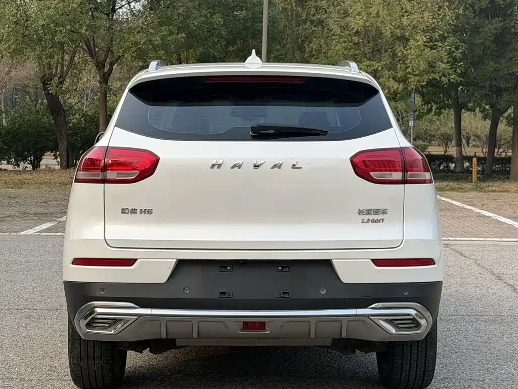 Haval H6 — миниатюра 3