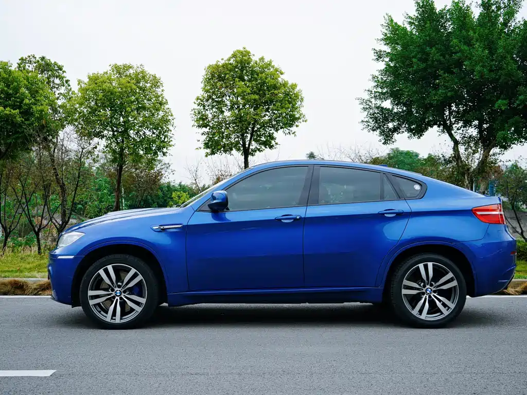 BMW X6 M 2010 X6 M
