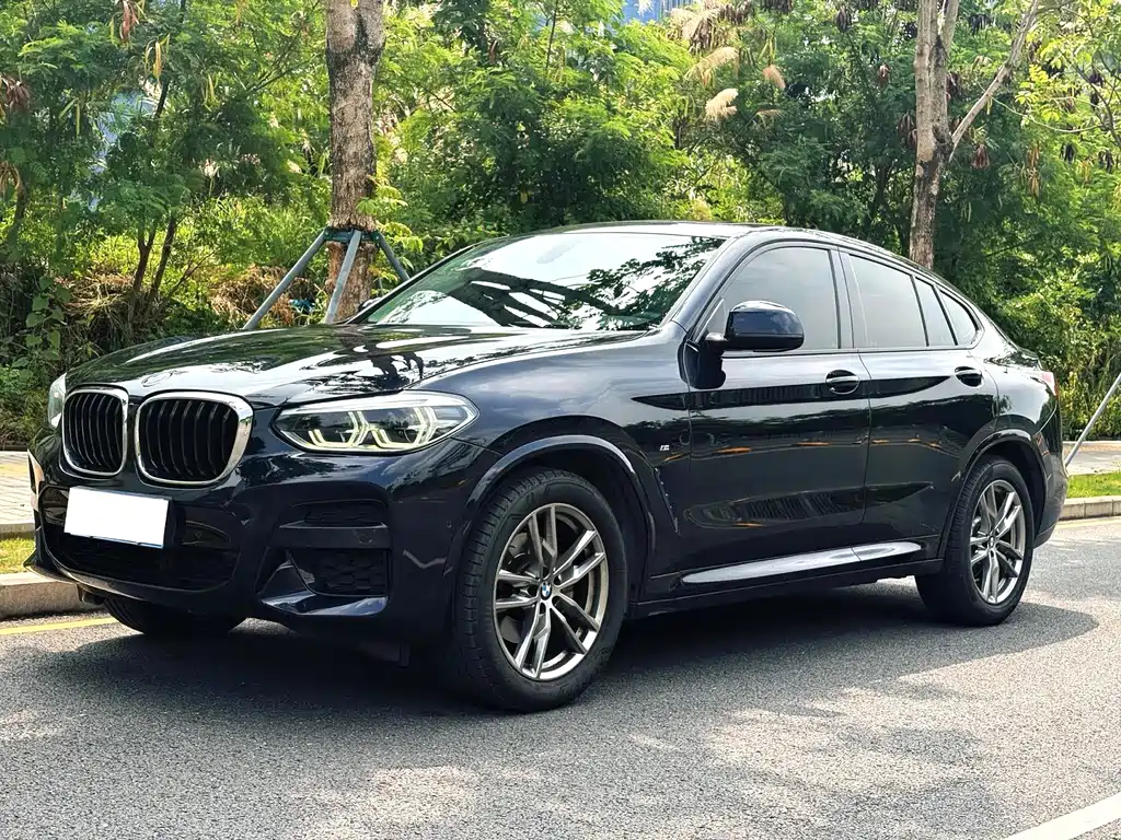 BMW X4 — миниатюра 2