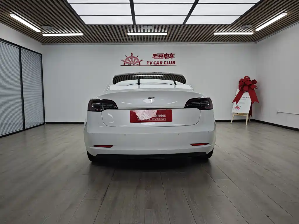 Tesla Model 3 — миниатюра 6
