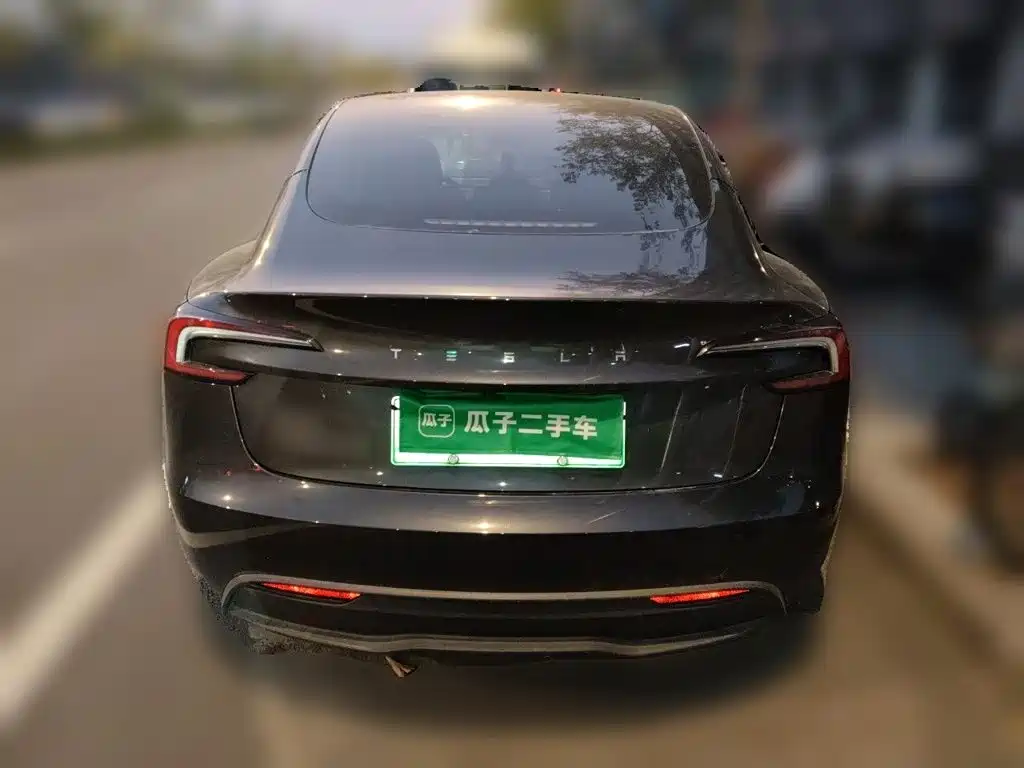 Tesla Model 3 — миниатюра 5