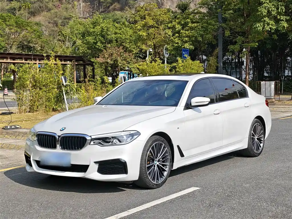 BMW 5 Series 2020