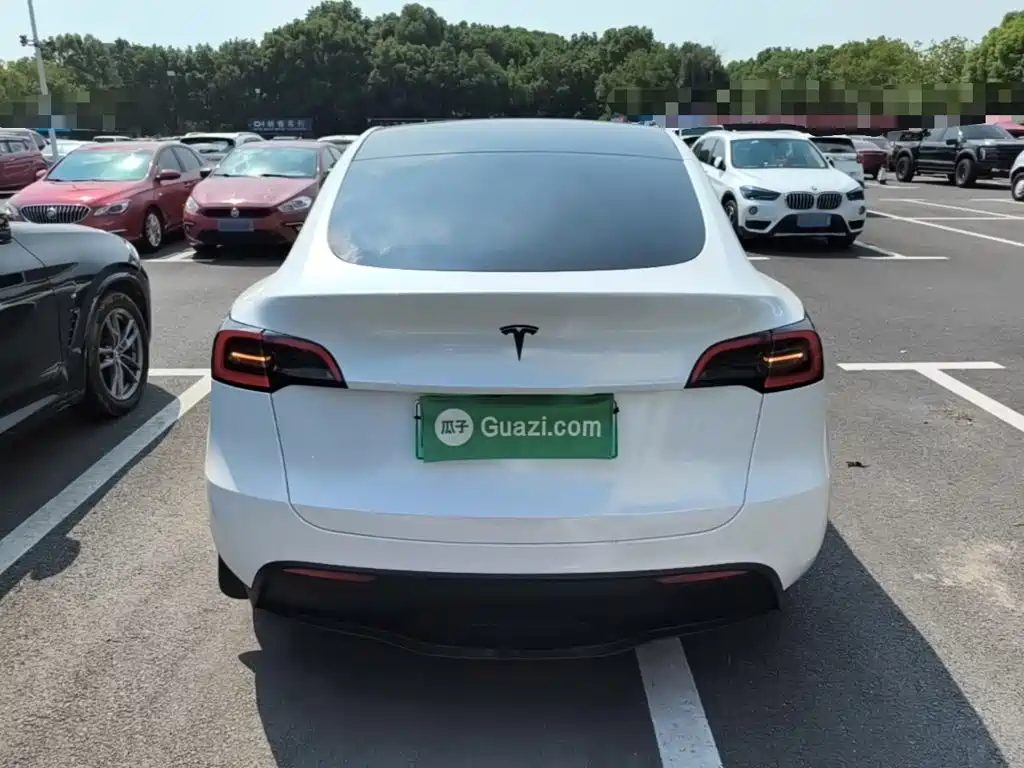 Tesla Model Y — миниатюра 6
