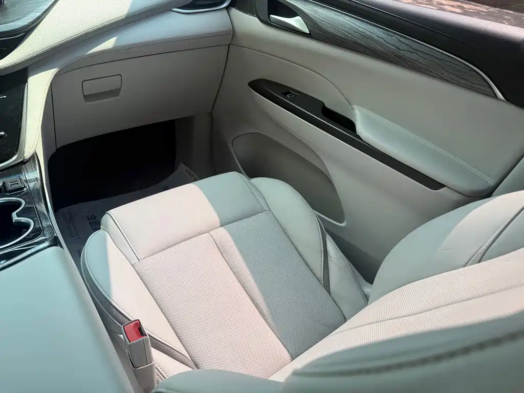 Buick GL8 — миниатюра 12