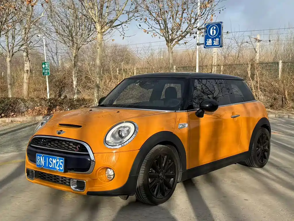 Mini Mini 2017