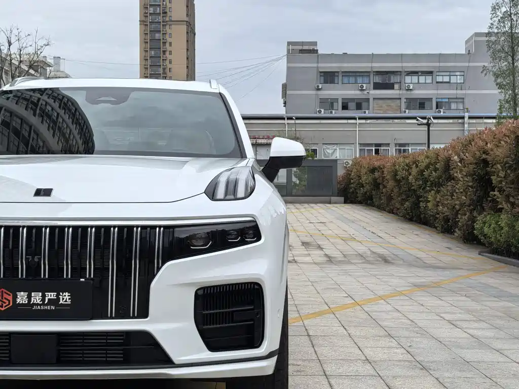 Lynk & Co 09 2024 2.0T Sport мест