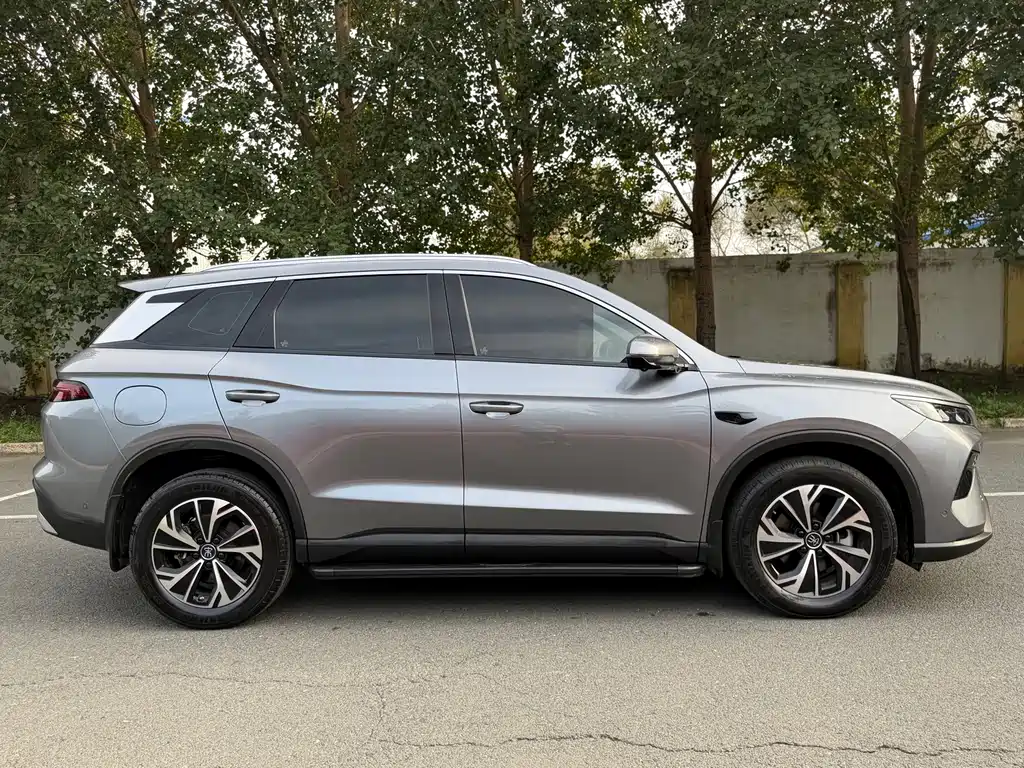 BYD Pro New Energy — миниатюра 4