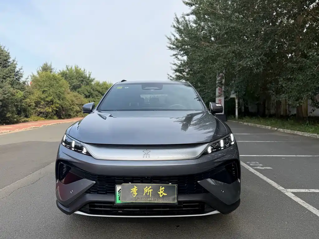 BYD Pro New Energy — миниатюра 2