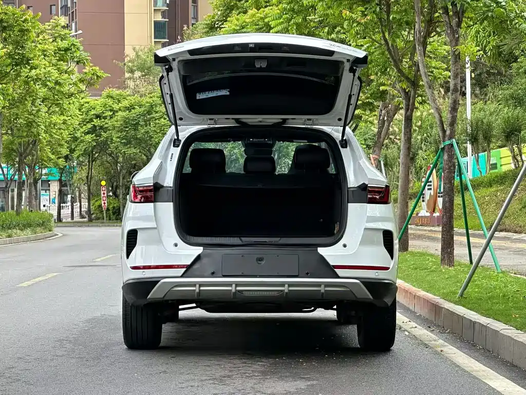 BYD PLUS — миниатюра 15
