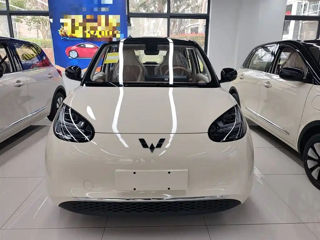 Wuling Binguo 2025 333km Enjoy