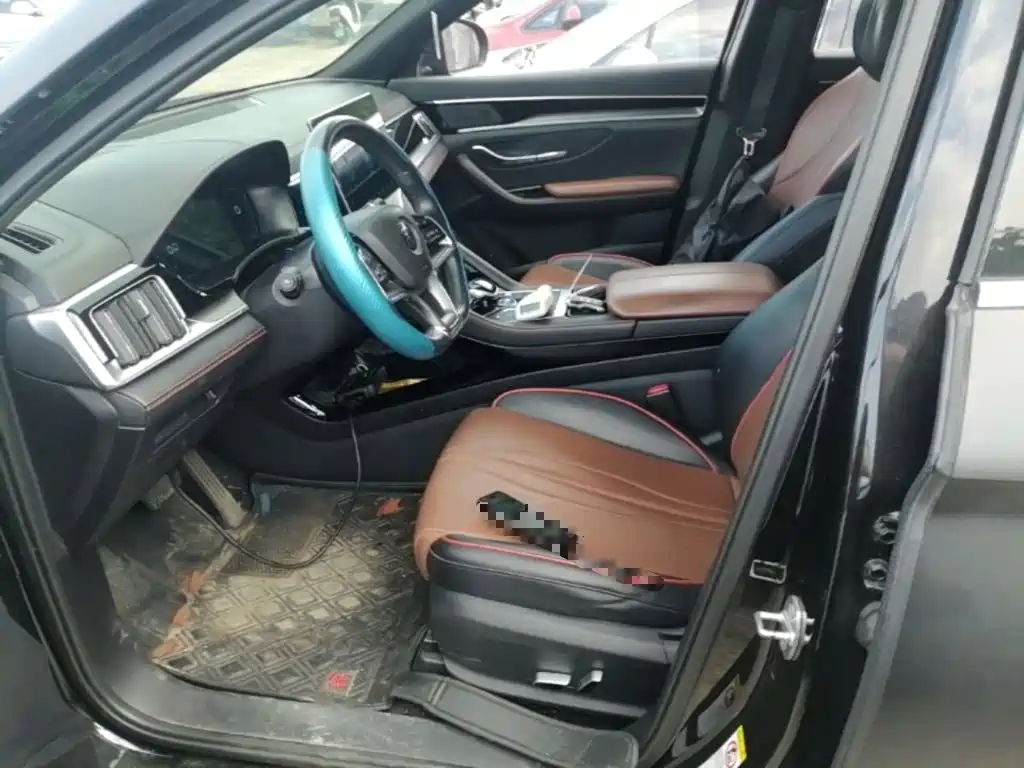 BYD PLUS — миниатюра 15