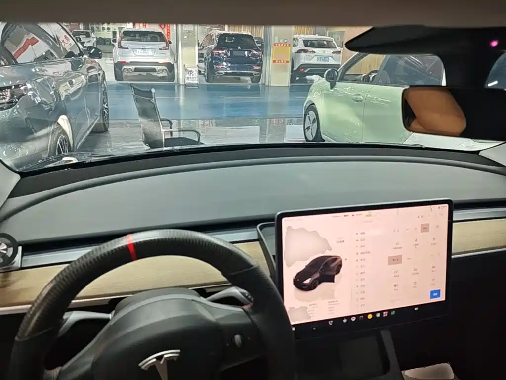 Tesla Model Y — миниатюра 10