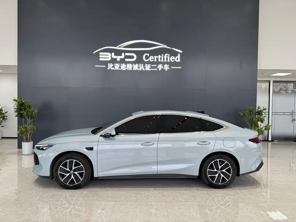 BYD QIN L