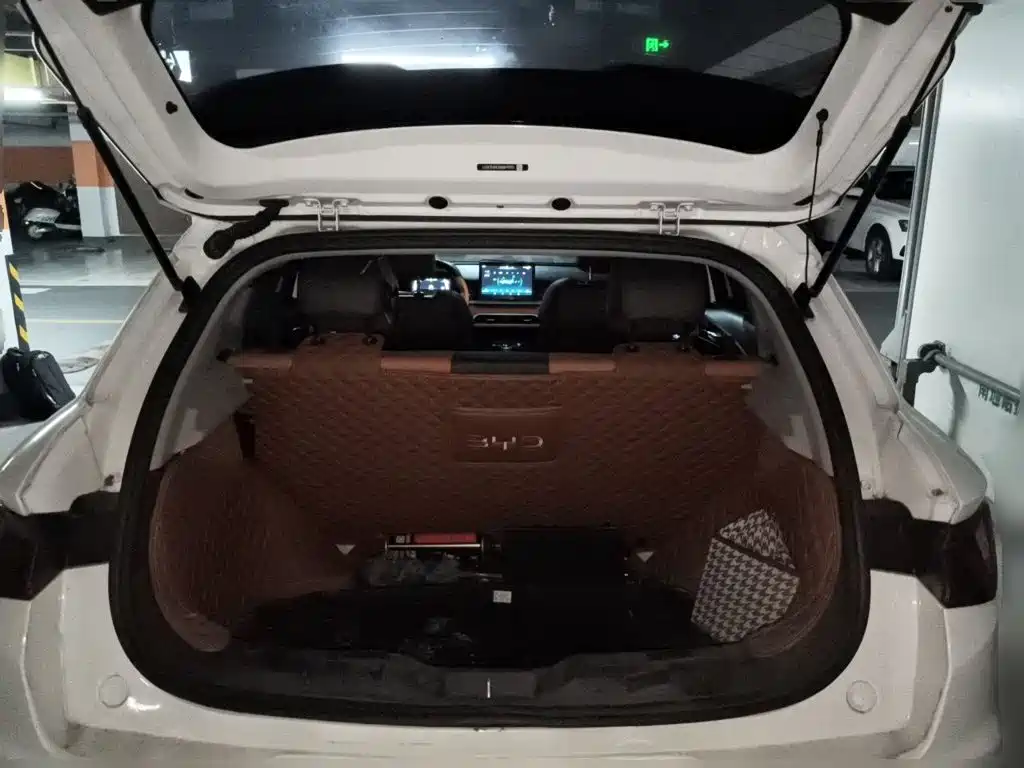 BYD e2 — миниатюра 20