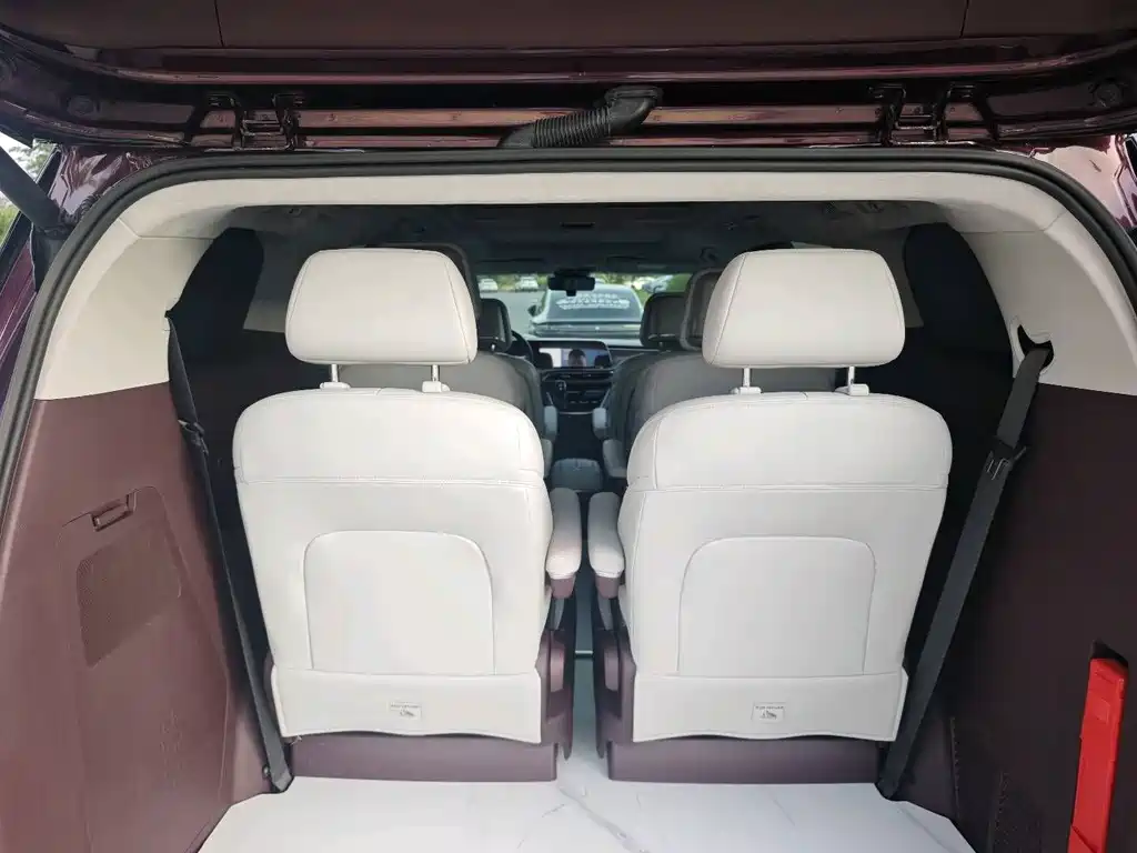 Buick GL8 — миниатюра 20