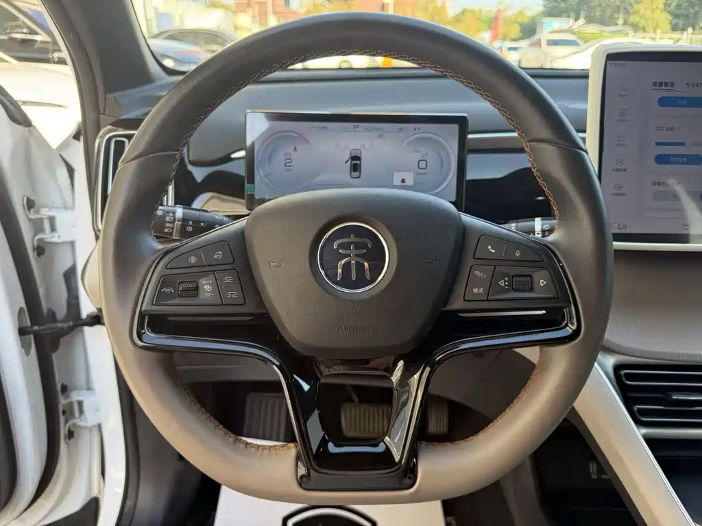 BYD Pro New Energy — миниатюра 10