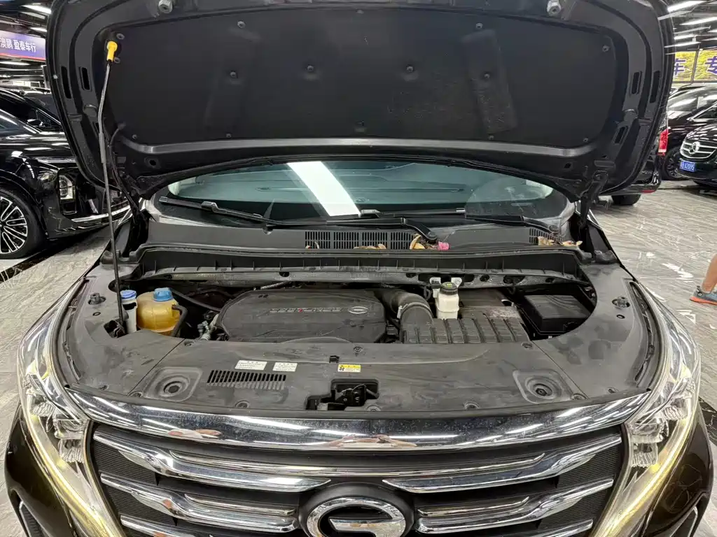 GAC Motor Trumpchi M8 — миниатюра 9