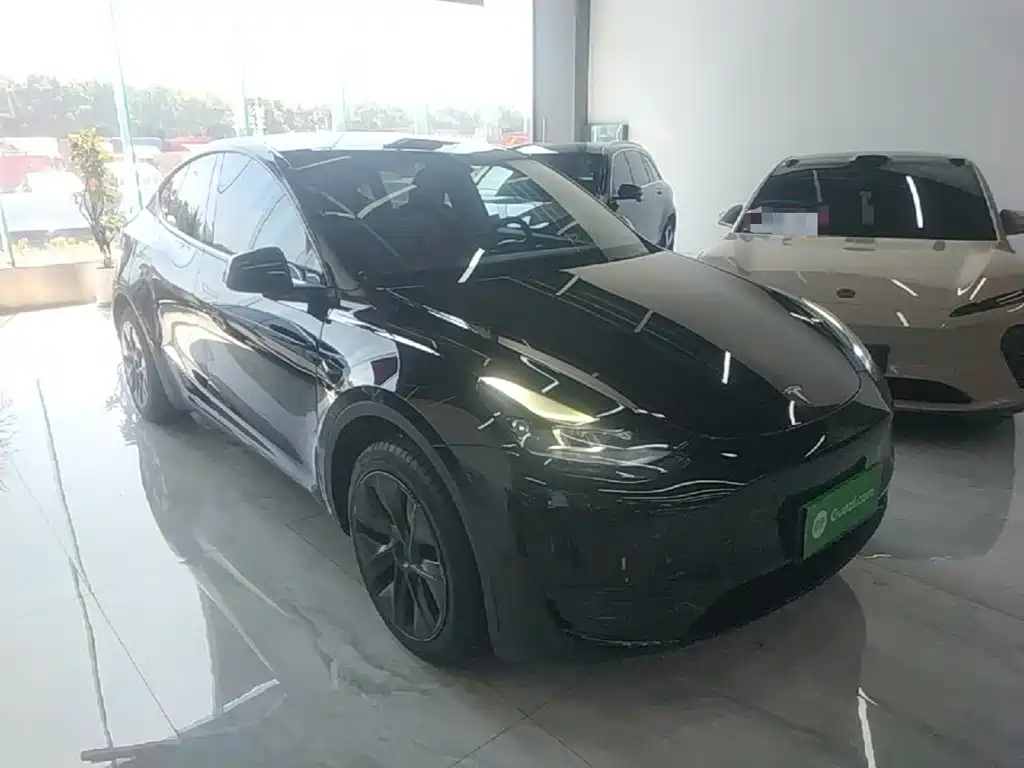 Tesla Model Y — миниатюра 4