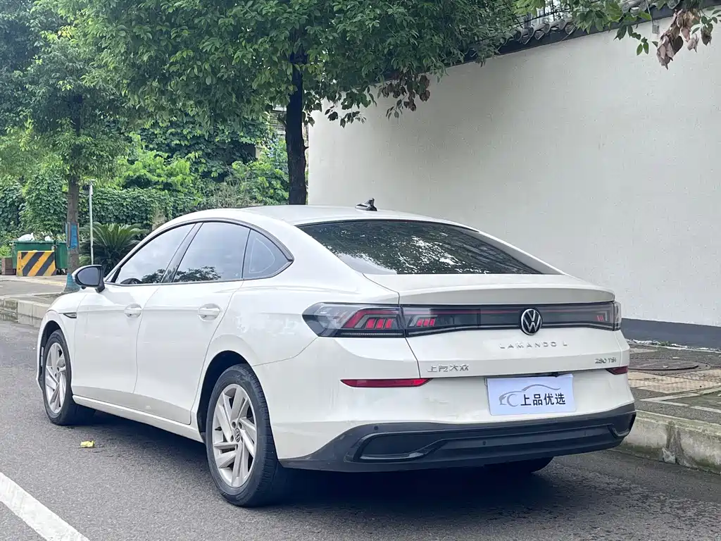 Volkswagen Lamando — миниатюра 17