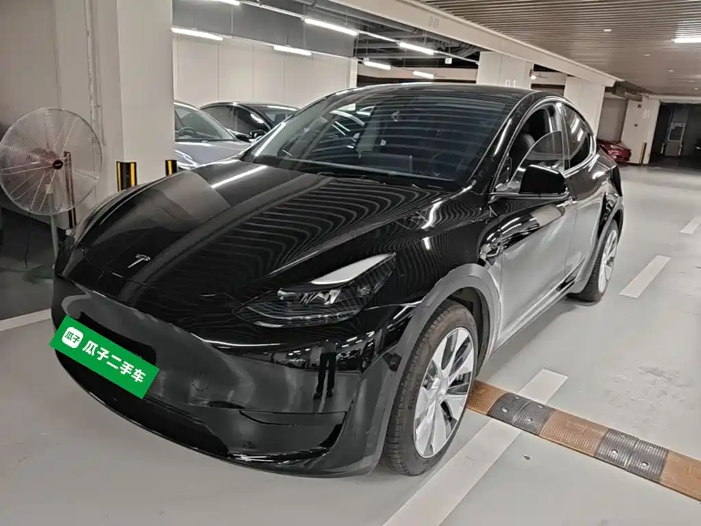 Tesla Model Y — миниатюра 2