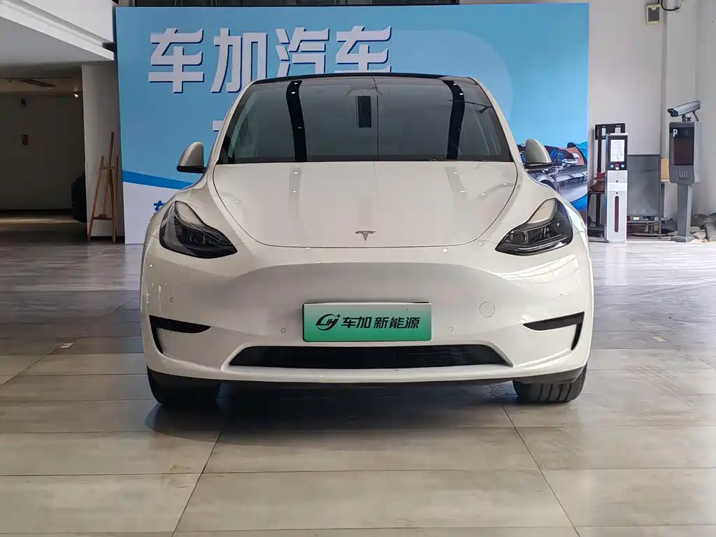 Tesla Model Y — миниатюра 2