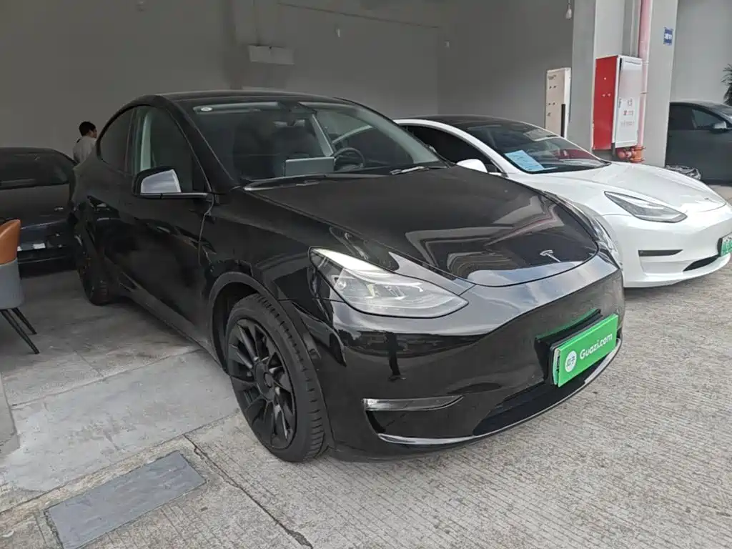 Tesla Model Y — миниатюра 4