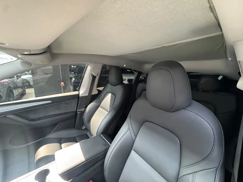 Tesla Model Y — миниатюра 9