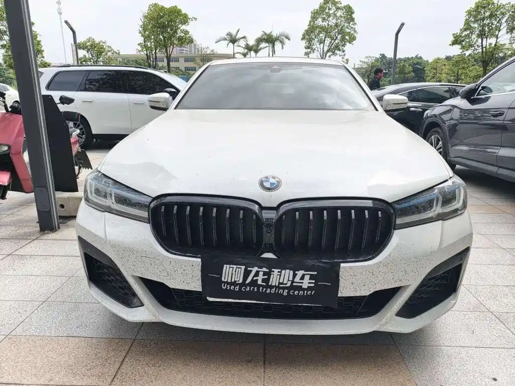 BMW 5 Series — миниатюра 2