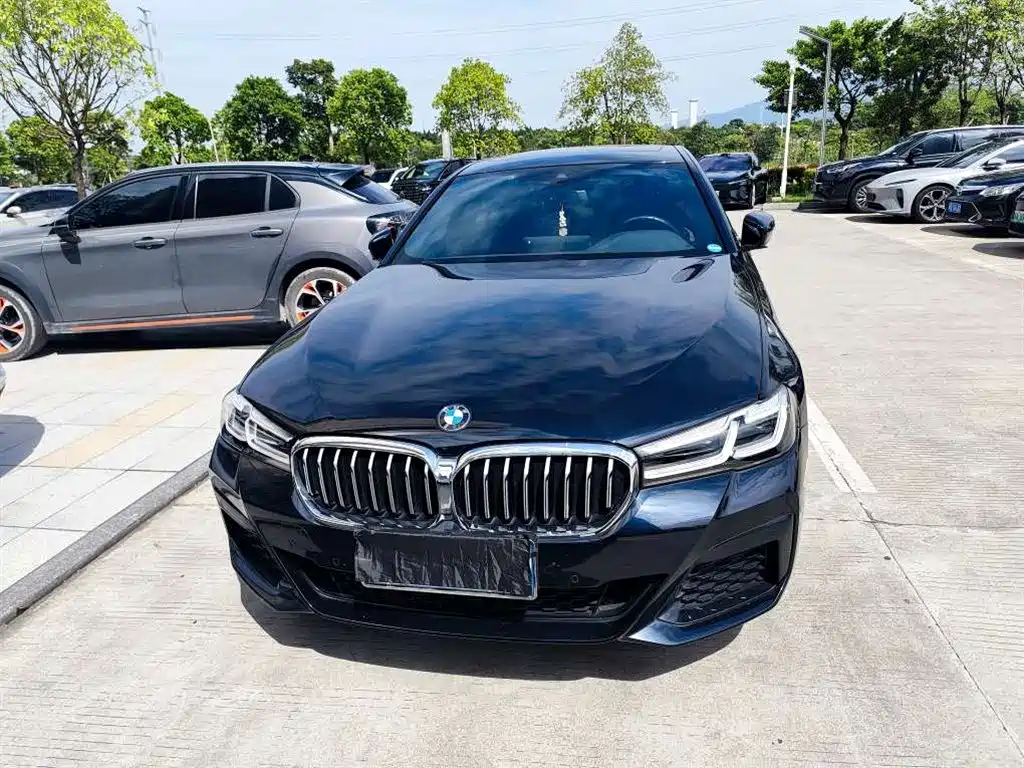 BMW 5 Series — миниатюра 3