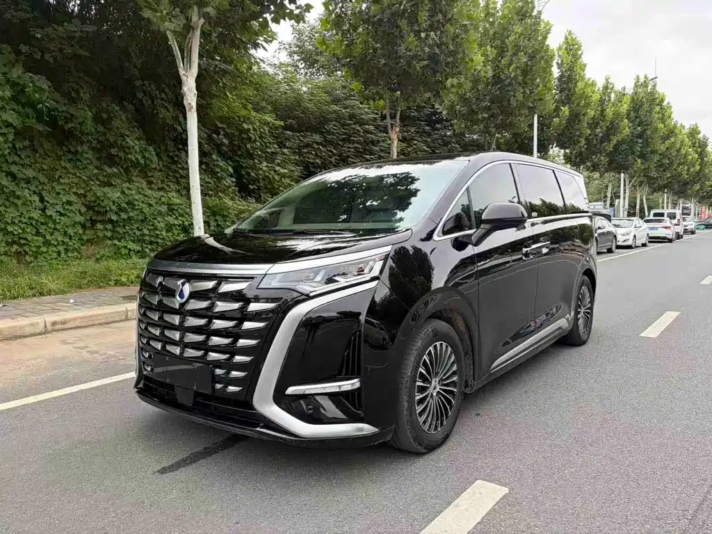 Denza Denza D9 — миниатюра 3