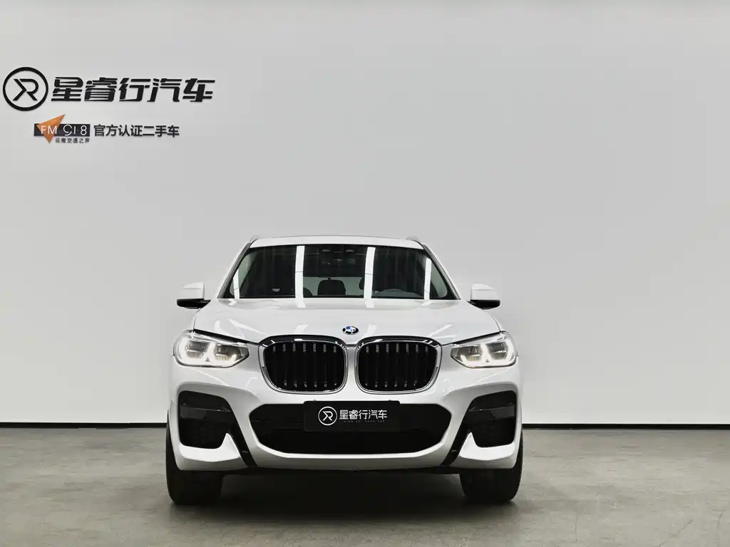 BMW X3 — миниатюра 2