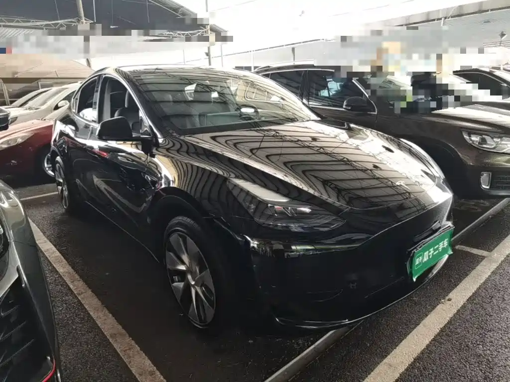 Tesla Model Y — миниатюра 4